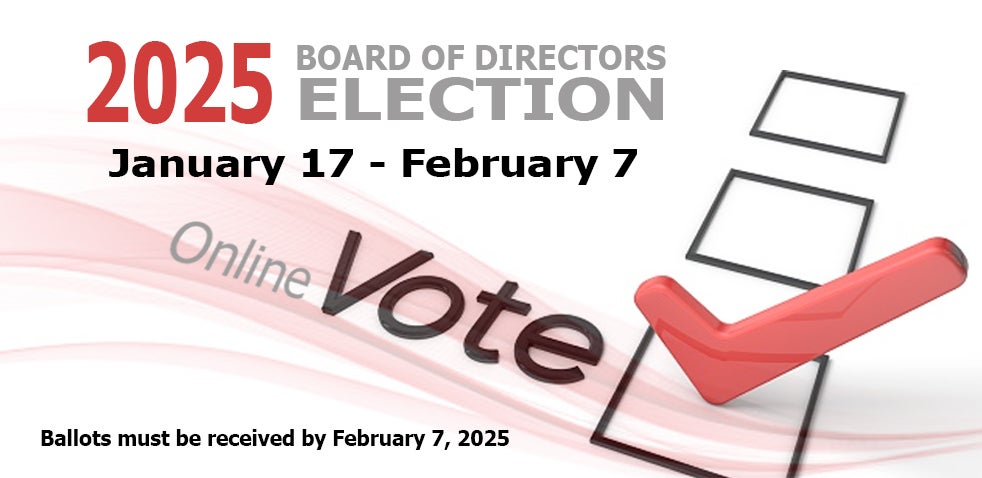 2025 director election